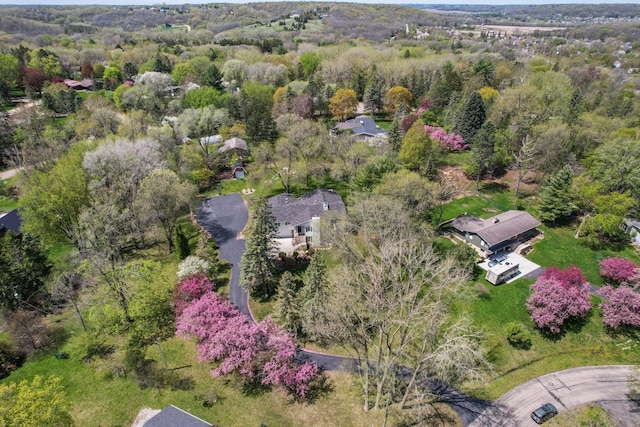 aerial view