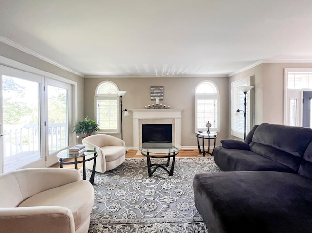 living room with crown molding and wood-type flooring