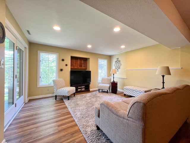 living room featuring wood-type flooring