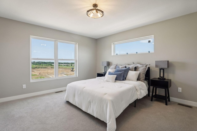 carpeted bedroom with multiple windows