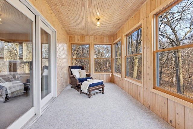 sunroom / solarium featuring wood walls and carpet