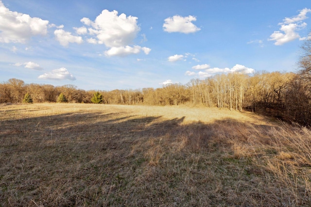 view of landscape featuring a rural view and a forest view