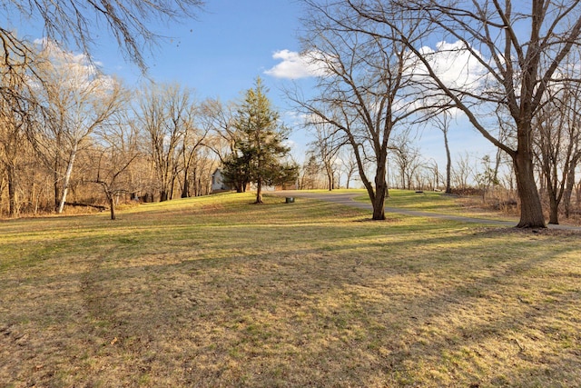 view of yard