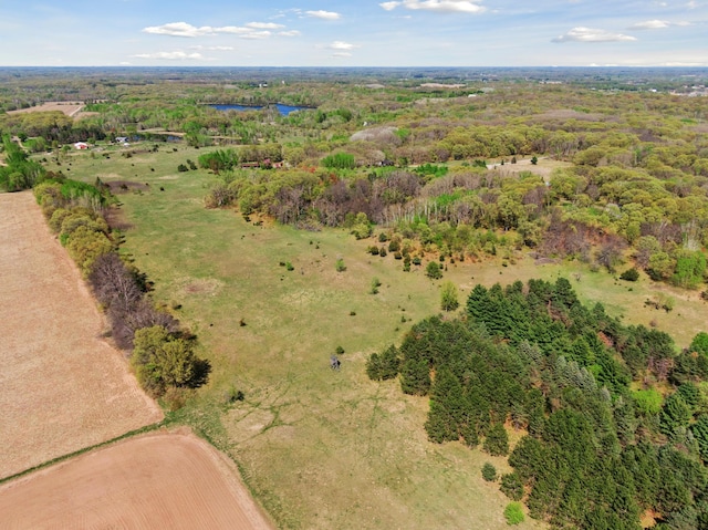 aerial view of property's location featuring a large body of water and a forest
