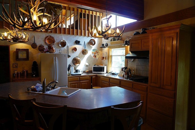 kitchen featuring sink, extractor fan, an inviting chandelier, refrigerator, and black gas cooktop