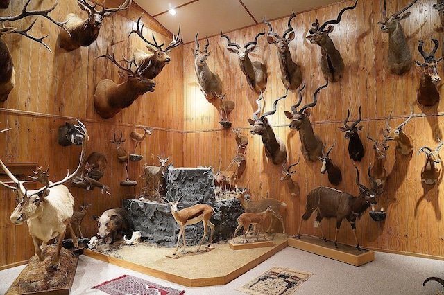 interior space with carpet floors and wooden walls