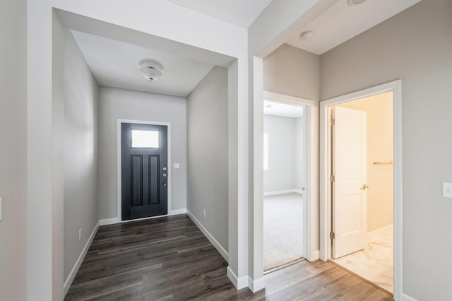 foyer featuring dark wood-type flooring