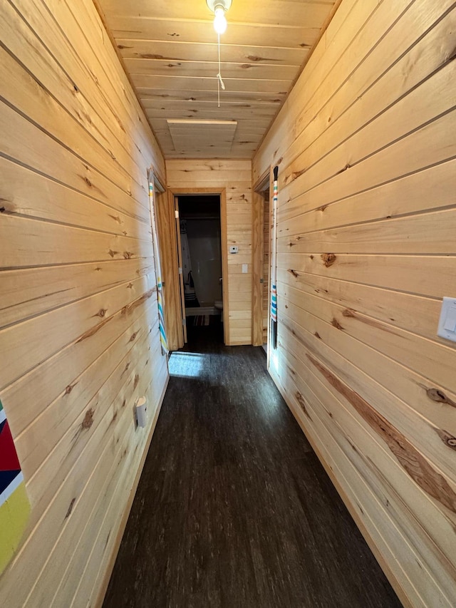 hall with dark hardwood / wood-style flooring, wood ceiling, and wooden walls