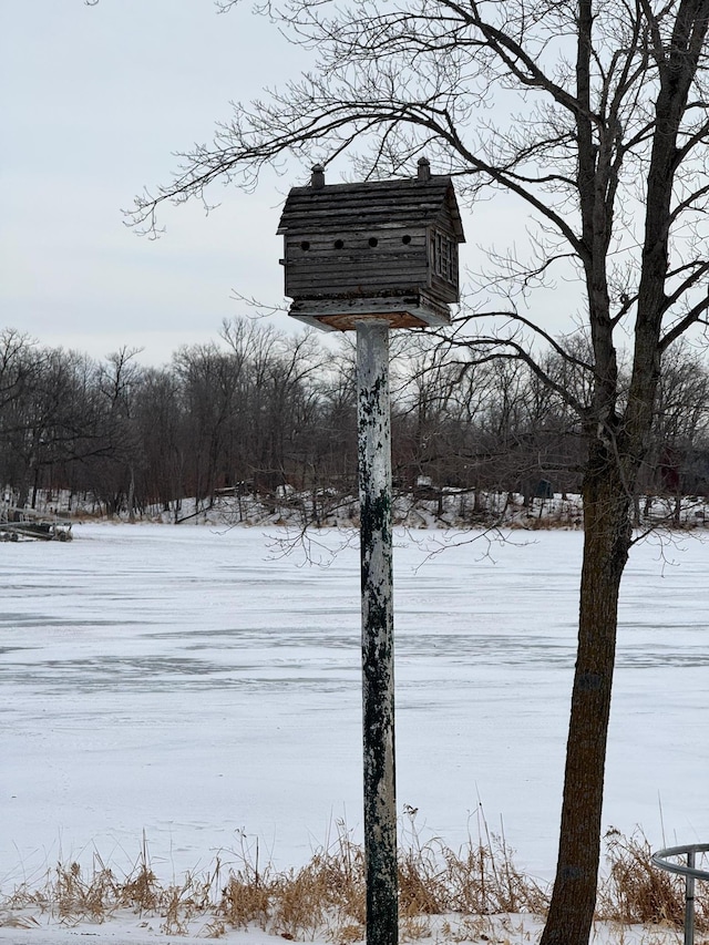 view of yard layered in snow