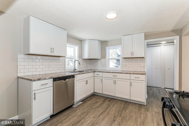 kitchen with white cabinetry, stainless steel dishwasher, and gas stove