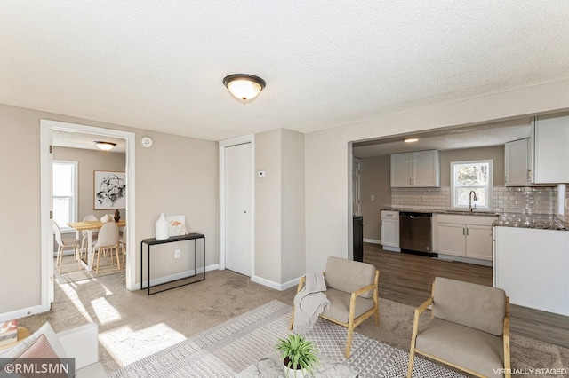 living room with sink and a textured ceiling