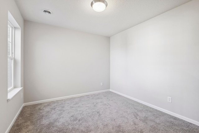 spare room with plenty of natural light, carpet floors, and a textured ceiling