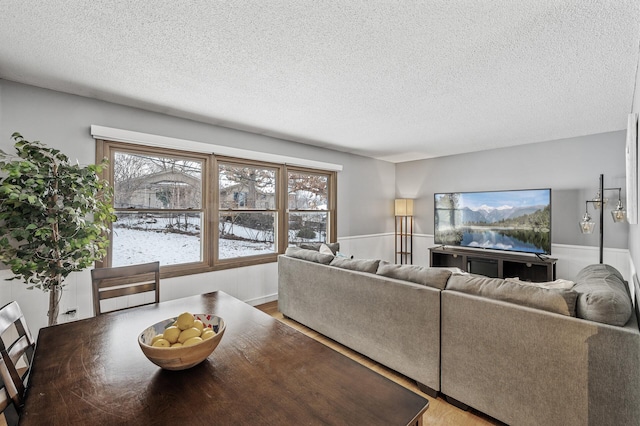 living room with hardwood / wood-style flooring and a textured ceiling