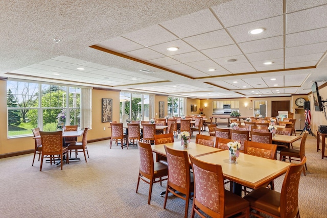 carpeted dining room featuring a paneled ceiling