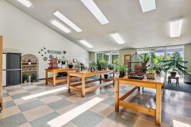 office featuring a skylight and high vaulted ceiling