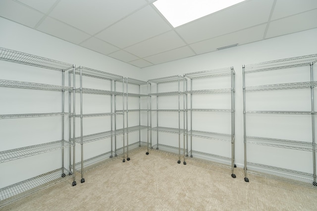 910 Folwell Dr SW, Rochester, MN 55902 - view of storage area