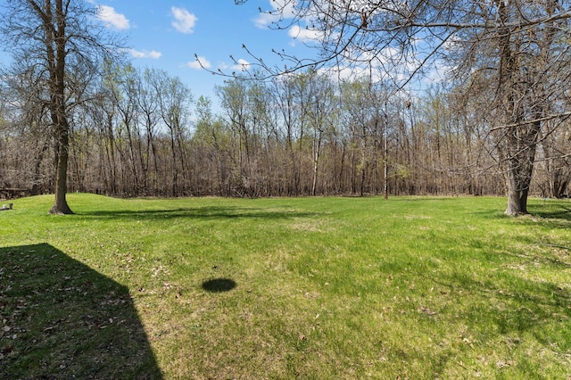 59001 County Highway 8, Sebeka, MN 56477 - view of grassy yard featuring a view of trees
