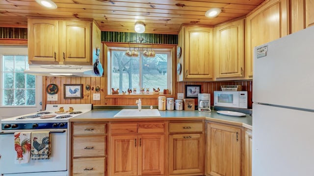 kitchen with wood ceiling, white appliances, plenty of natural light, and sink