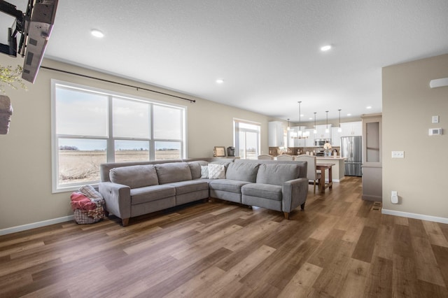 living room with dark hardwood / wood-style flooring