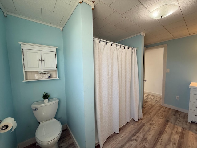 full bathroom featuring wood finished floors, toilet, vanity, a shower with curtain, and baseboards