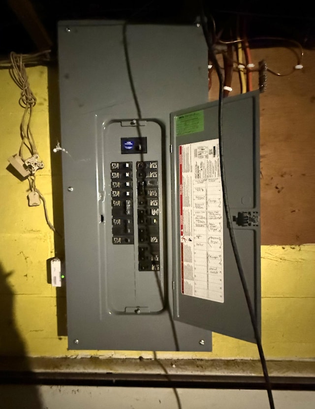 utility room with electric panel