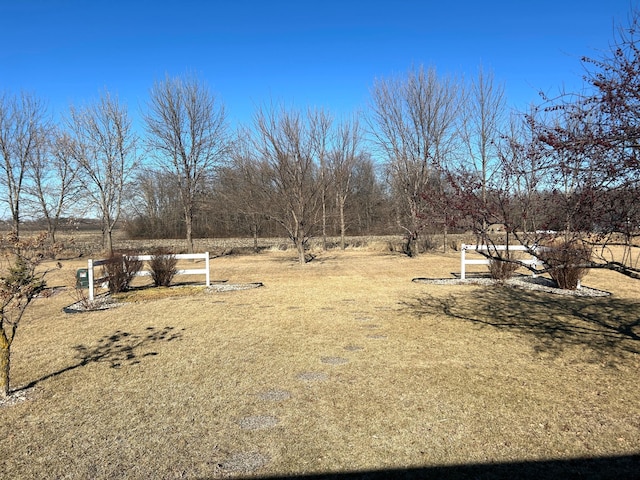 view of yard with a rural view