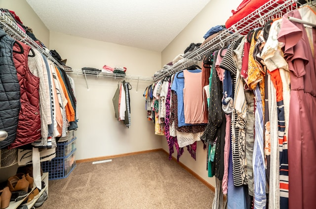 walk in closet featuring carpet flooring