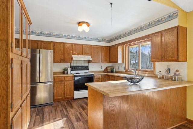 kitchen with electric stove, sink, stainless steel fridge, dark hardwood / wood-style floors, and kitchen peninsula