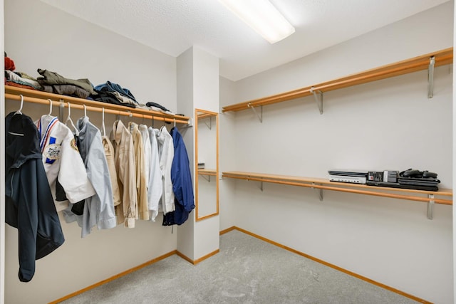 walk in closet featuring carpet floors