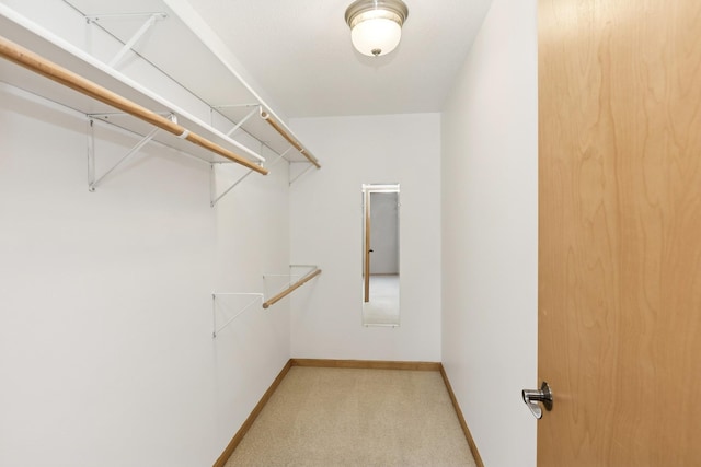 view of walk in closet