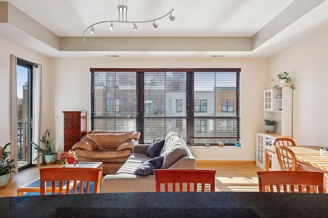 living room with a wealth of natural light, light hardwood / wood-style floors, and a raised ceiling