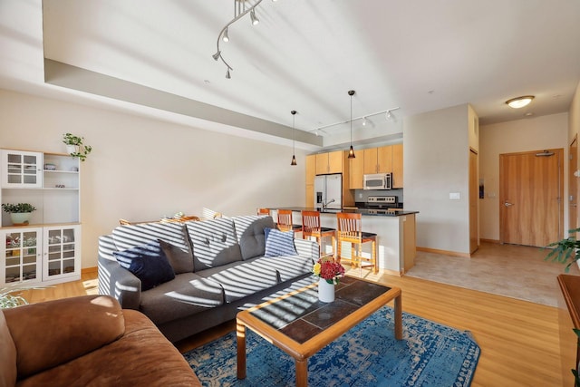 living room with rail lighting and light hardwood / wood-style flooring