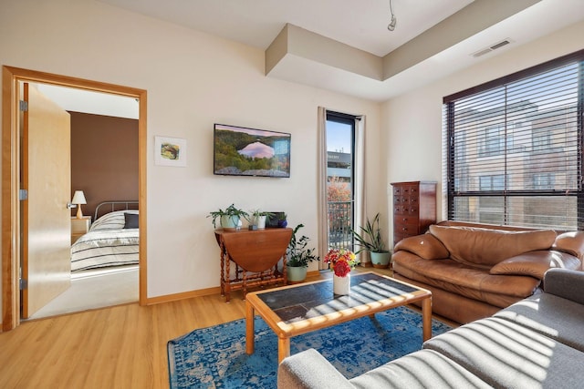 living room featuring hardwood / wood-style floors