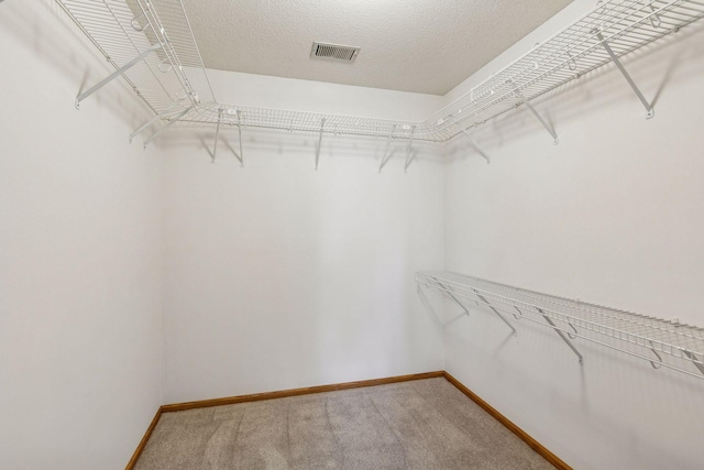 spacious closet featuring carpet