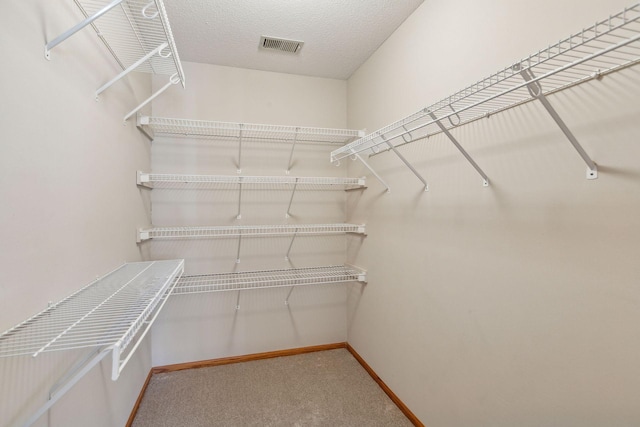 walk in closet with carpet floors