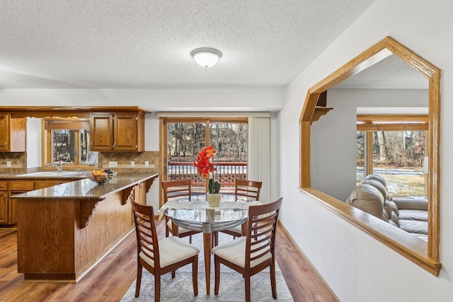 dining room with sink, a wealth of natural light, and light hardwood / wood-style floors