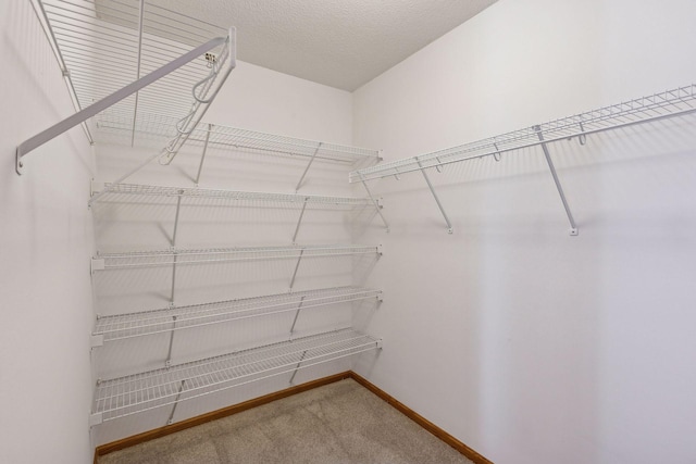 walk in closet featuring carpet floors