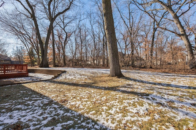 view of snowy yard