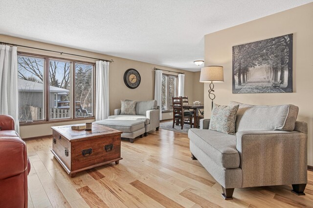 living room with a healthy amount of sunlight, light wood finished floors, and a textured ceiling