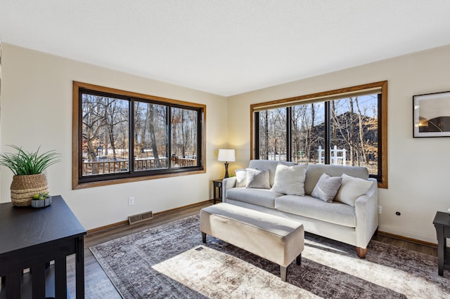 living room featuring hardwood / wood-style floors