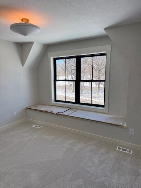 bonus room featuring carpet, visible vents, a textured ceiling, and baseboards