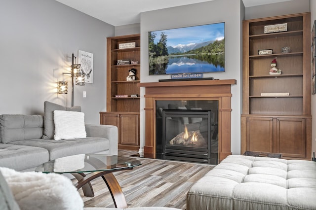 living room featuring wood finished floors and a glass covered fireplace