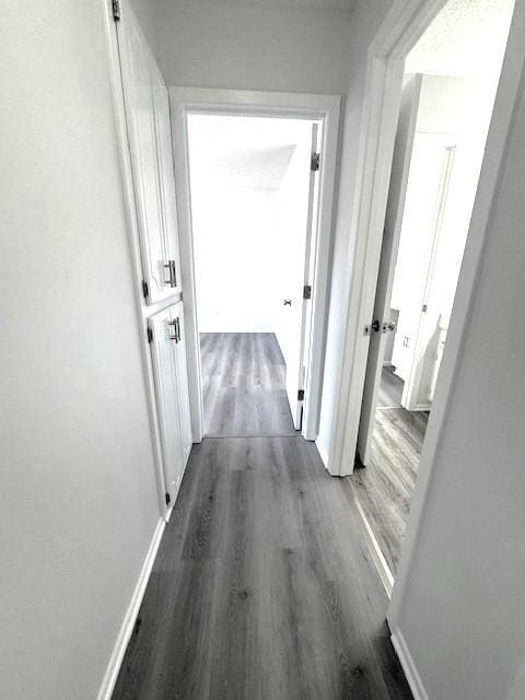 hallway featuring dark hardwood / wood-style flooring