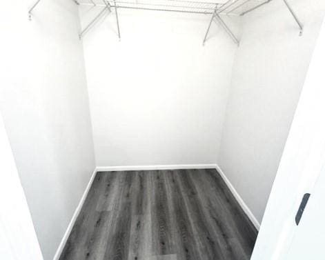 walk in closet featuring dark hardwood / wood-style flooring