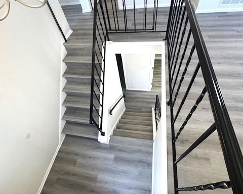 staircase featuring hardwood / wood-style flooring