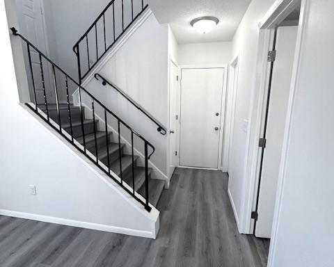 foyer entrance with dark hardwood / wood-style flooring