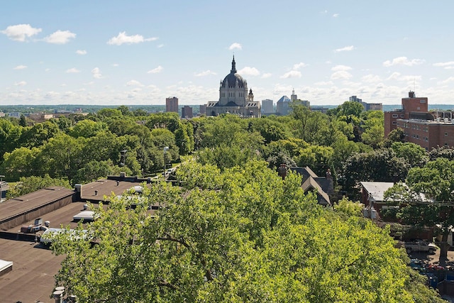 aerial view