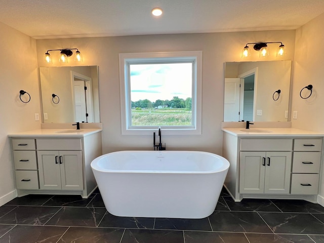 bathroom featuring vanity and a bathing tub