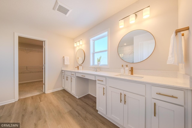 bathroom with wood-type flooring and vanity