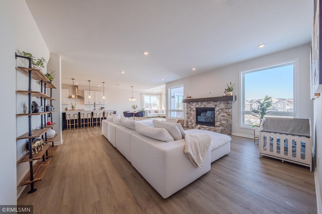 living room featuring a fireplace and hardwood / wood-style floors